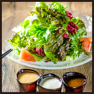 Vegetable Salad (10 Types)