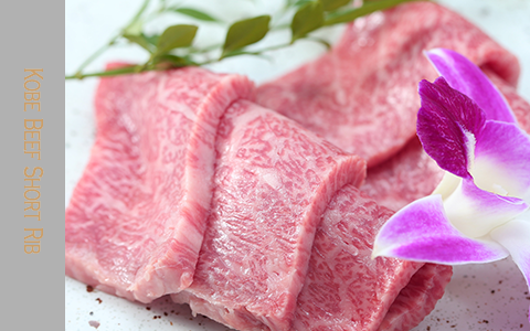 Kobe Beef Short Rib